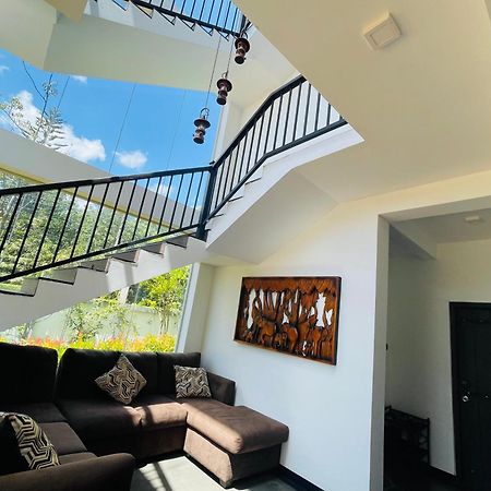 Black Mustang Hotel Dambulla Exterior foto